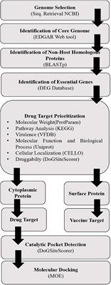 Genome-Based Drug Target Identification in Human Pathogen Streptococcus gallolyticus